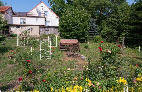 Pokoje Upałty 21 - Foto 33