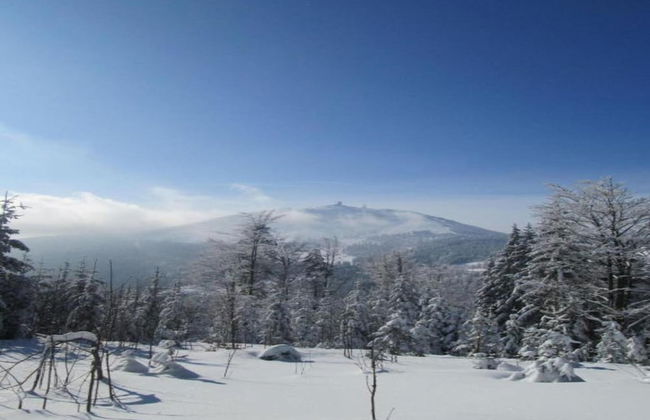 Pretty Holiday Home in Schöfweg ot Langfurth near Ski Slope - Foto 24