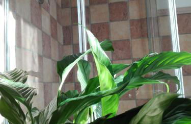 Il Palazzetto sulla Francigena - Photo 50