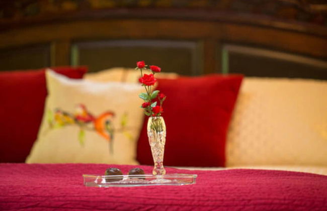 A Hidden Haven & Water Garden Cottages - Foto 24