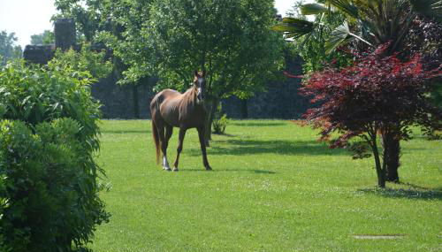 Apartment Magalita - Foto 4