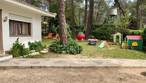 Aventura II - Photo 4