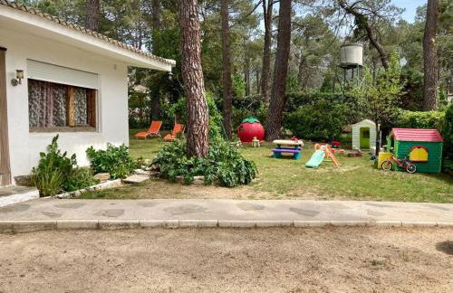 Aventura II - Photo 4