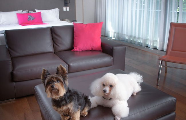 Las Suites Campos Eliseos - Foto 58