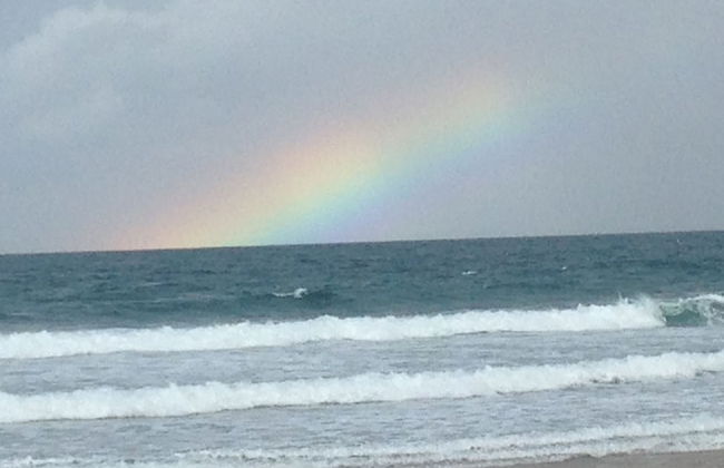 Glen Eden Beach Resort - Foto 66