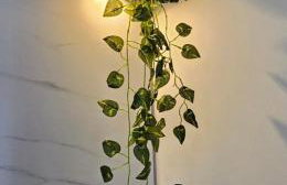 808 Moderno,TV QLED, Wi-Fi 500MB, Garagem e Portaria 24h - Foto 24