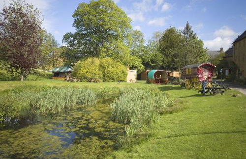 Downclose Piggeries - Photo 30