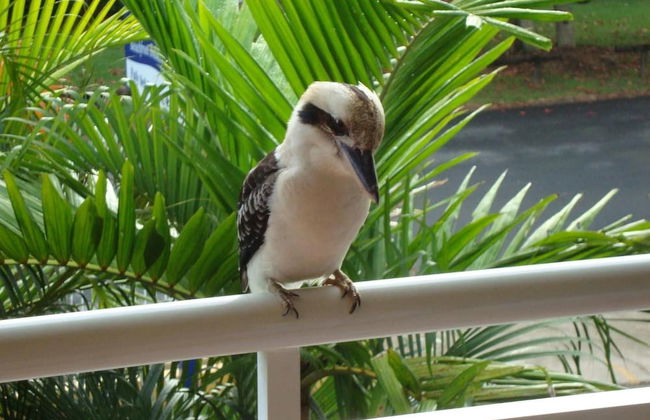 The York Beachfront Holiday Apartments - Photo 39