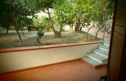 ANFORA Arancione - Foto 8