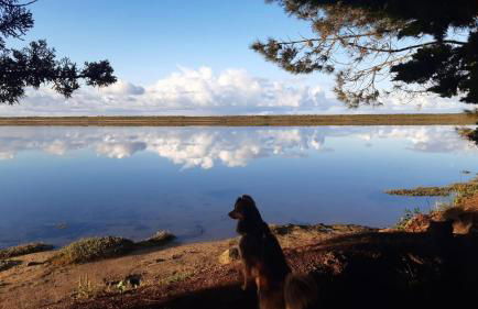 Superbe chaumière en bord de mer - Foto 6