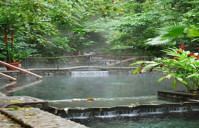 1-Bedroom Near Pool - Photo 16