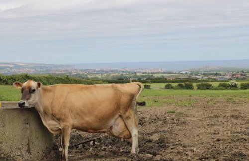 Barn Cottage - Foto 20