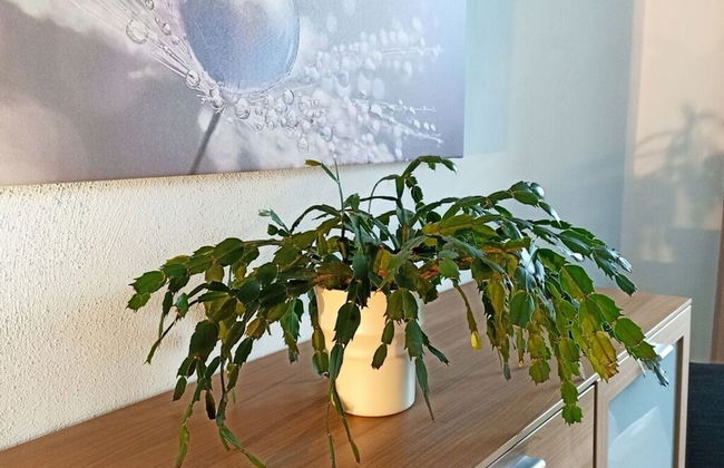 Holiday Apartment Coffee Mill - Foto 2