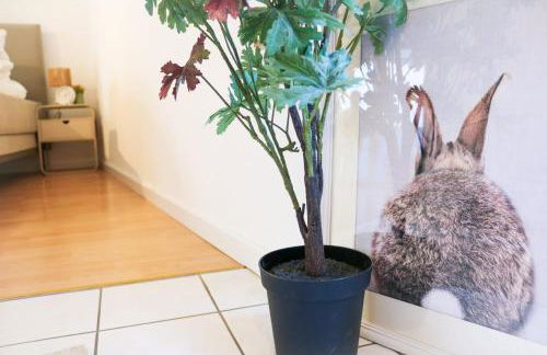 Apartments Black4Rest Hase & Igel - Foto 21