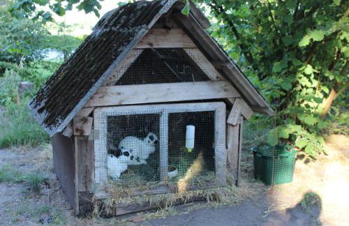 Ferienwohnung Sannhoff - Foto 11