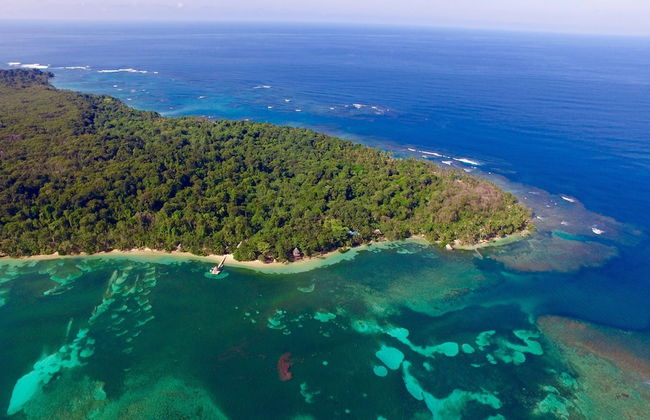 Residencia Natural - Photo 25