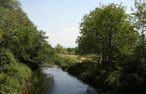 Agriturismo La Rosta - Foto 38