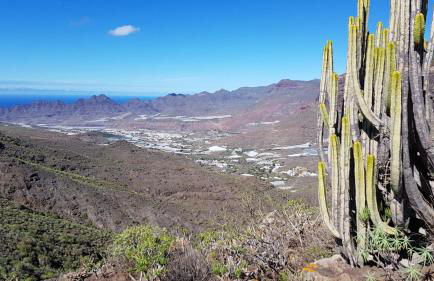 Casas Blancas - Suite 2 - Foto 16