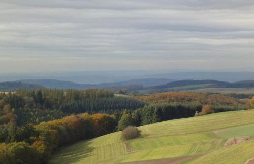 Holiday Home Moselle With Private Sauna - Foto 38