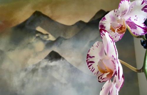 El Cau de Ribes - Foto 9