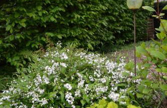 Gîte authentique près Zoo de Beauval et Châteaux - Photo 27