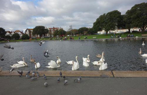 Ann Apartments opposite the Pier with sea view - Photo 40