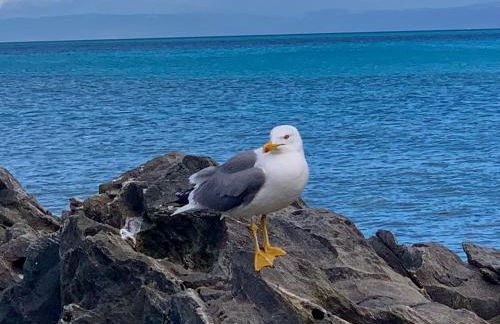 Villetta Esclusiva sulla Spiaggia della Pelosa - Foto 48
