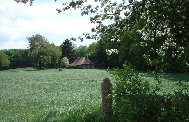 Holiday Home Hirtenkate Apartment 1 - Foto 19