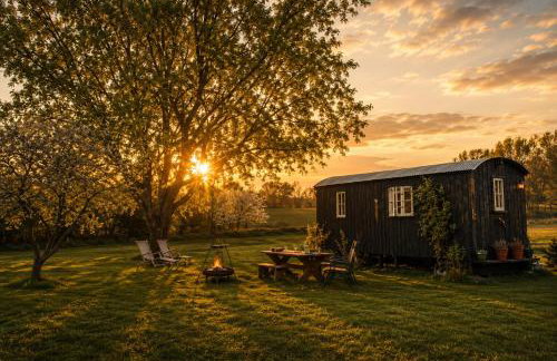 Mountbatten Shepherds hut & Buckhurst Shepherds hut - Photo 4
