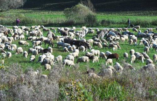 Mountain&Lake Terrace Retreat - Foto 7