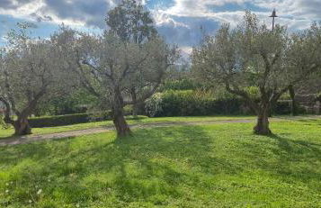 Agriturismo CarpinoNero - Photo 21