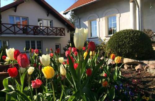 agroturystyka Orzechowe Wzgórze - Foto 2