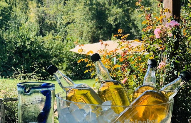 Casale Chimneys Immersed in Olive Trees - Foto 22