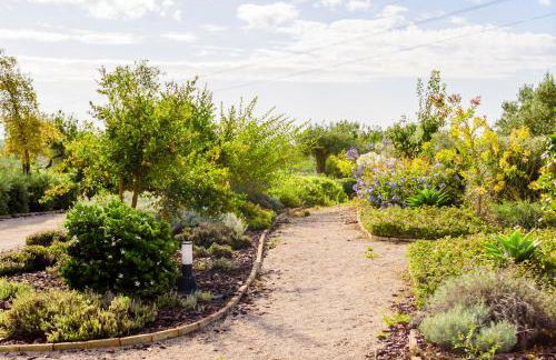 Quinta da Baleeira - Foto 90