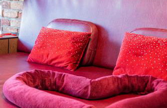 Jacuzzi - Love - BDSM - Extra Luxury - EV chargger - Valentine's Day - Red Room - Flexible SelfCheckIns 28 - Foto 52