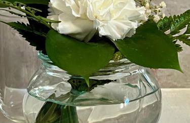 Ocean View Pico - Photo 26