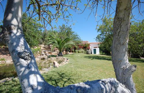 Rustic Villa Tavira with Mountain Views and Pool - Foto 27