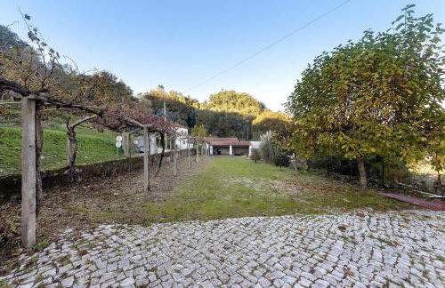 Sonho No Mondego - Foto 41