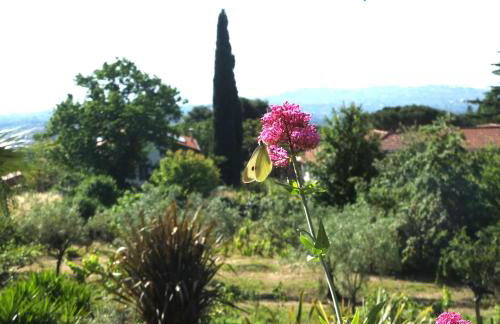 Uvatanta Cottage - Foto 39