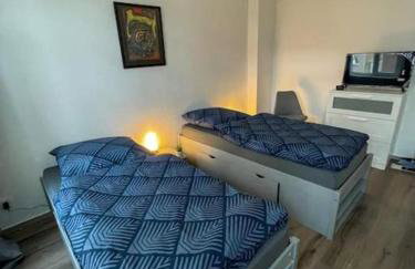 Neu saniertes Apartment in Magdeburg - Foto 4