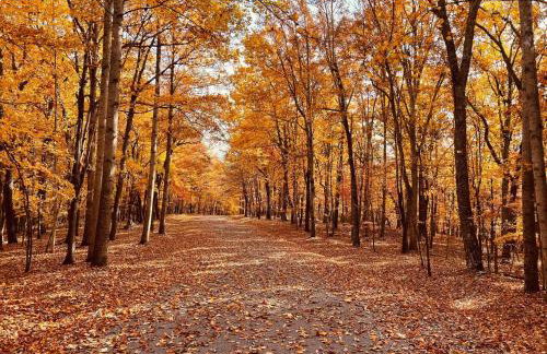 Lake Escape to an Elegant 4 Br Home - Foto 61