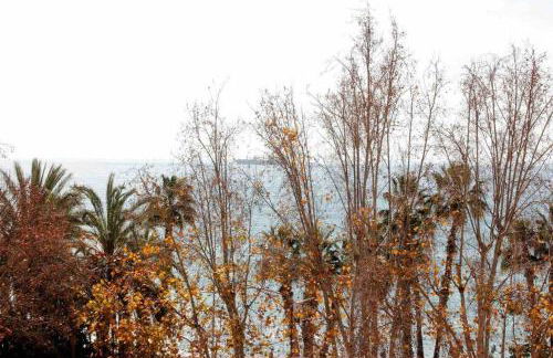 Casa Malagueña a pie de playa - Photo 36