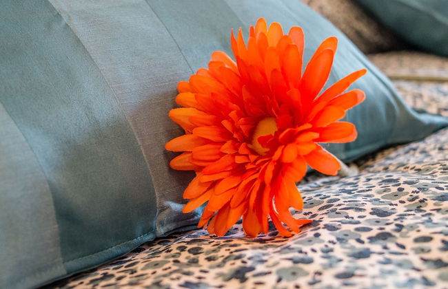 Basilica Sant'Antonio at 100 meters - Foto 13