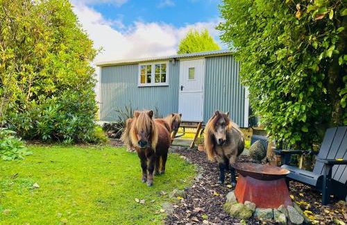 Miners Hut - Foto 12