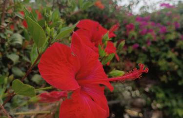 Seaside Apartment 2 - Photo 13