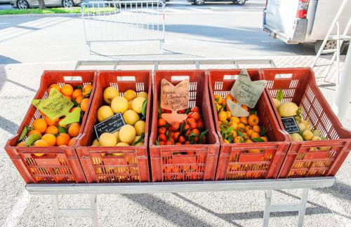 Chez Gabrielle - Photo 31