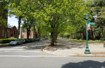 Lovely 2BR apartment by Wooster Square- great neighborhood - Foto 36