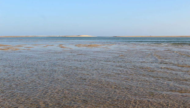 Découvrez les zones humides de la Ria Formosa