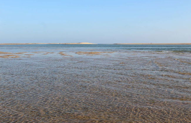 Paseo en lancha rápida a Isla Desierta - Foto 5