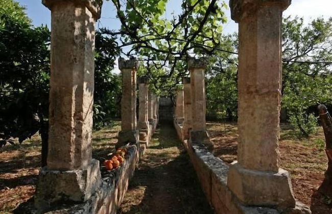 Masseria Maccarone - Photo 30